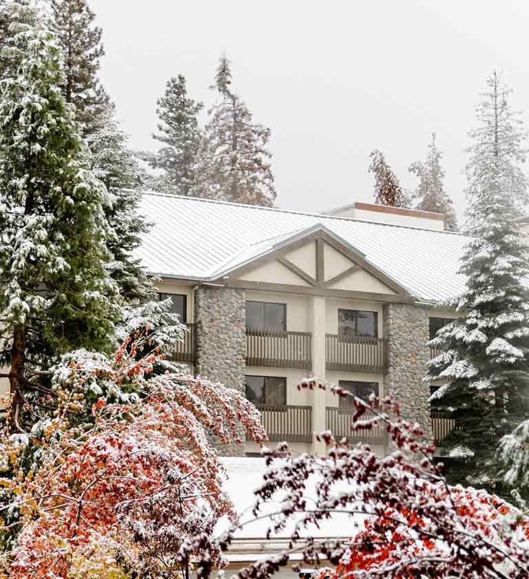 Tenaya-Lodge-New-Cabins